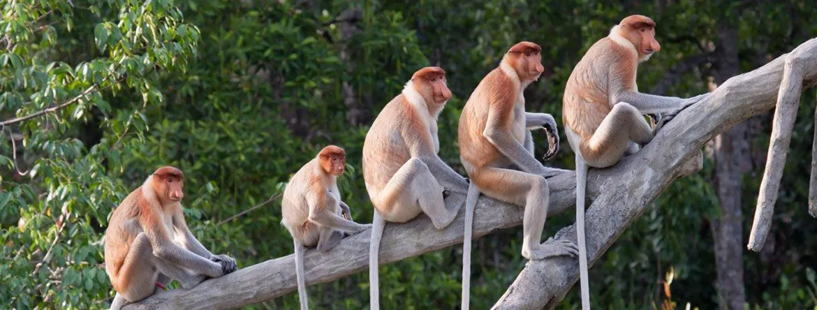 Туры в Италию от туроператора ВАНД