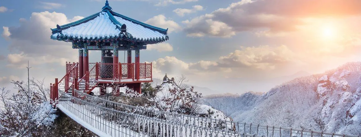Туры в Южную Корею от туроператора ВАНД