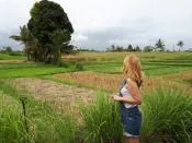 Рисовые поля – можно смотреть бесконечно…