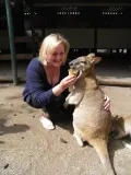 Завтрак с кенгуру
