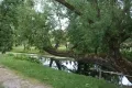У пруда в парке