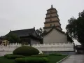 Большая пагода белого гуся