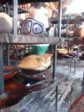Местный кот в сувенирной лавке