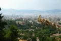 Афины, вид на акропольский холм, автор: Галия Спирькова, г.Ардатов