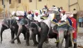 Индийские слоны