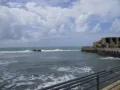 Порт Акко