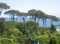 Вид из Grand Hotel Punta Molino 5*