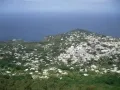 Вид с горы Monte Solaro на о.Капри