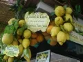 Гордость юга Италии - лимоны