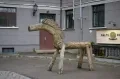 Городская лошадь, Рига