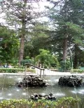 Ботанический сад. г. Рабат