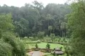 Тропический сад на острове Пенанг