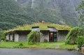 Цветочно-травяные крыши домов в Норвегии