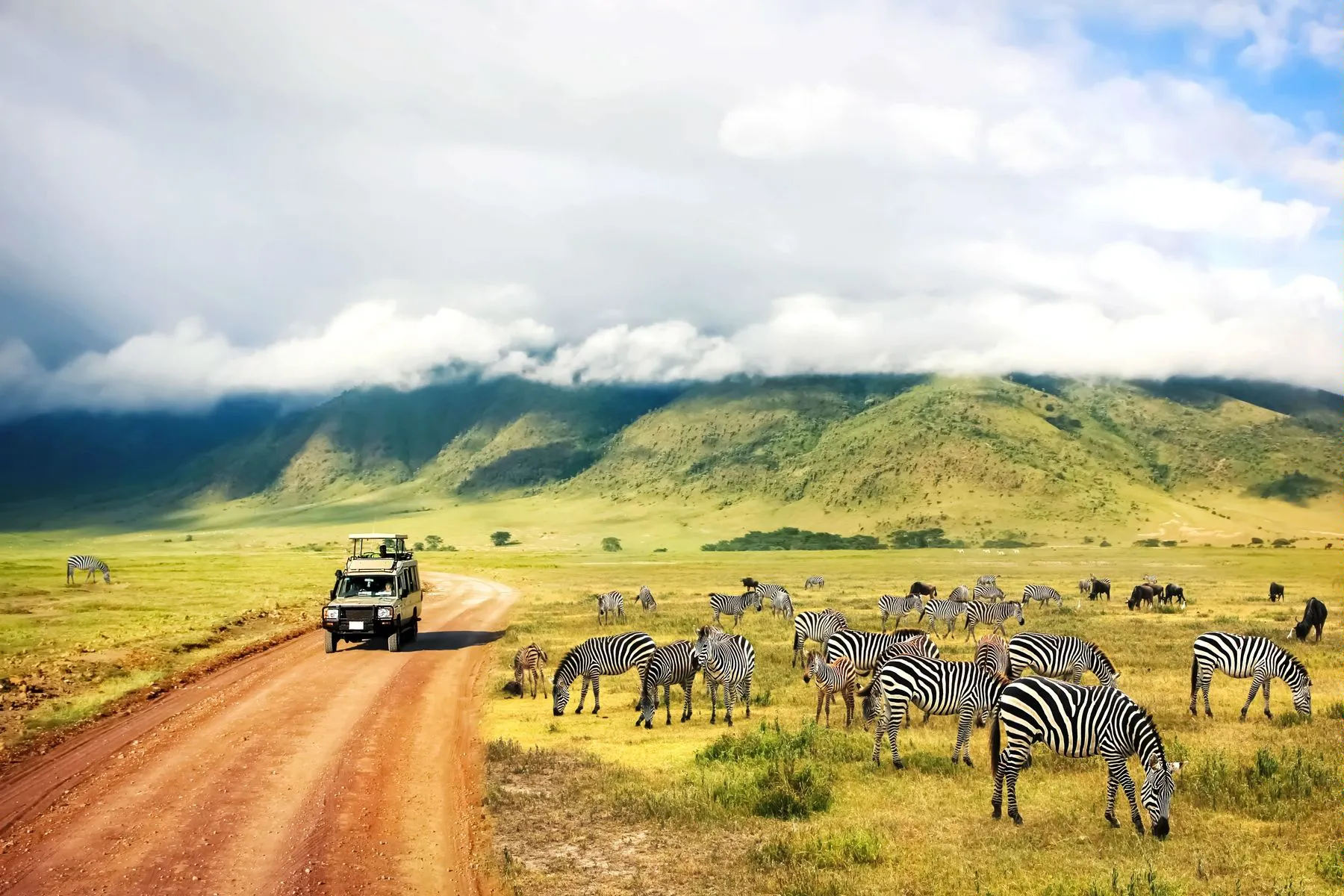 Туры в Танзанию (+ о.Занзибар)