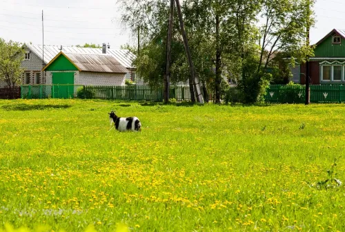 Туры в Россия (Москва, Подмосковье) - Я посетил родимые места (Константиново – Иоанно-Богословский мн-рь) автобусная (14 часов) 25.07, 07.08, 29.08, далее по графику