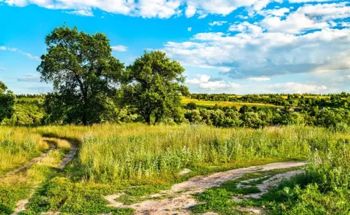 Туры в Россия (Москва, Подмосковье) - Летит над Ржевом журавлиный клин (Ржев – Мемориал советскому солдату) автобусная от ст.м. Парк Победы (15 часов) 06.12