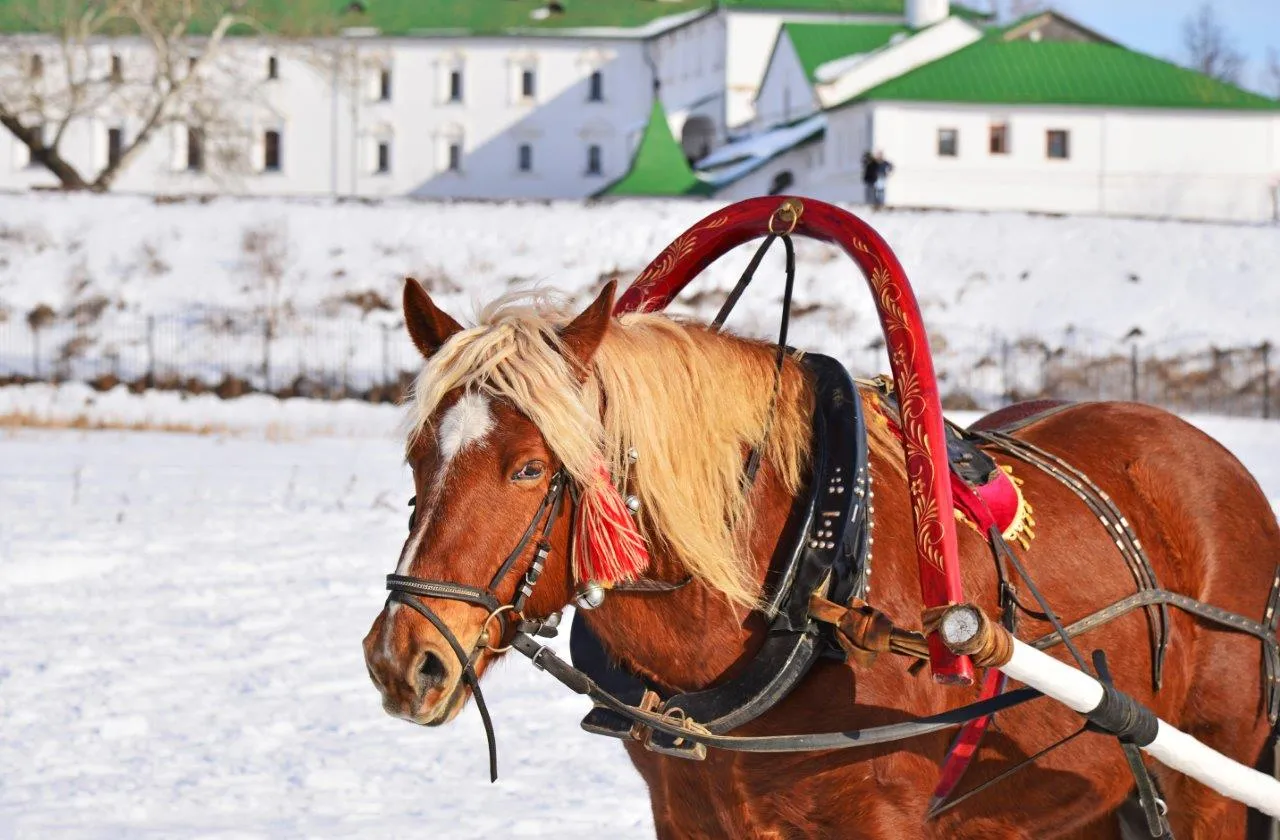 Туры в Россия (Нижегородская обл.)