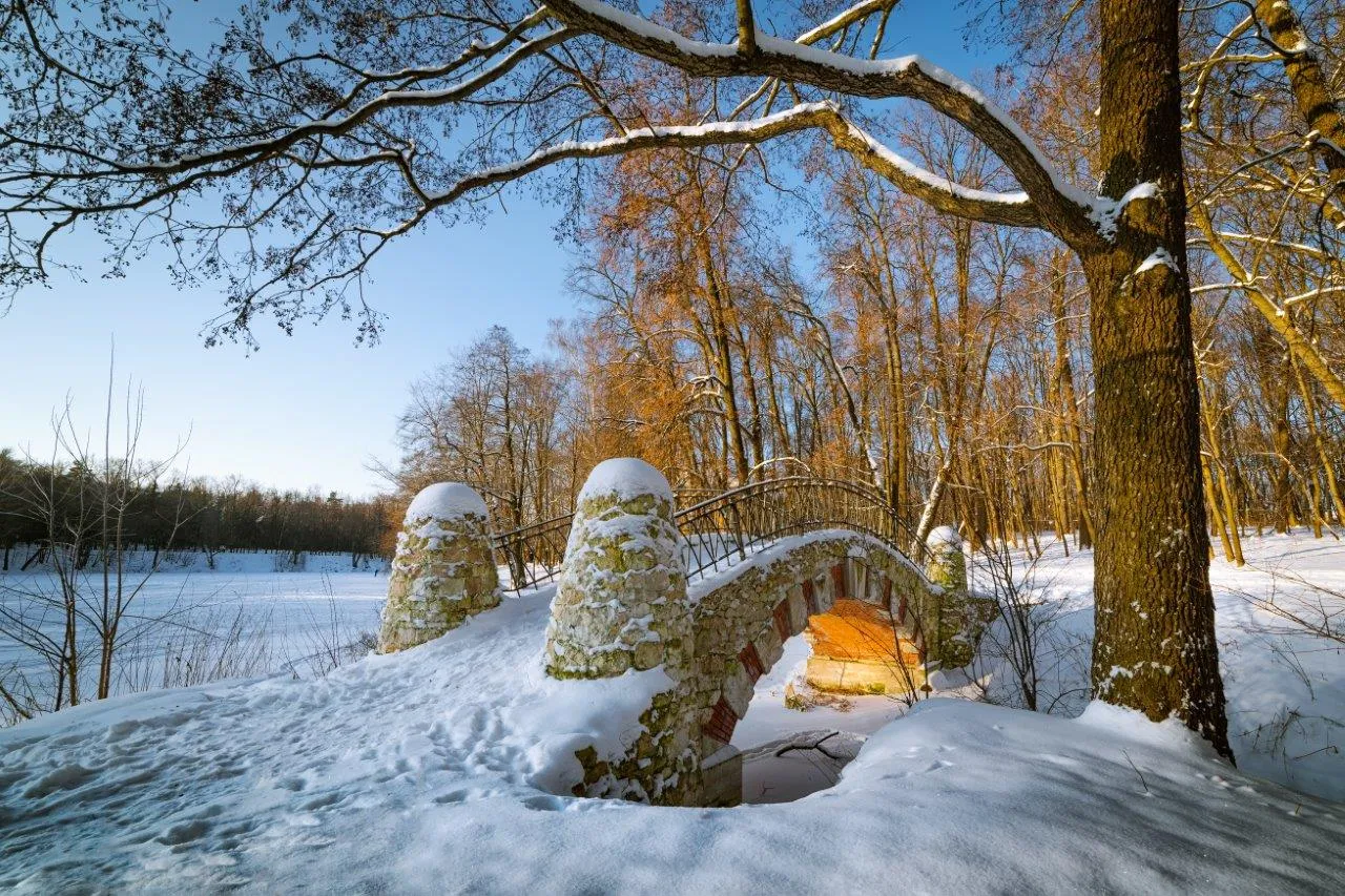 Туры в Россия (Москва, Подмосковье)