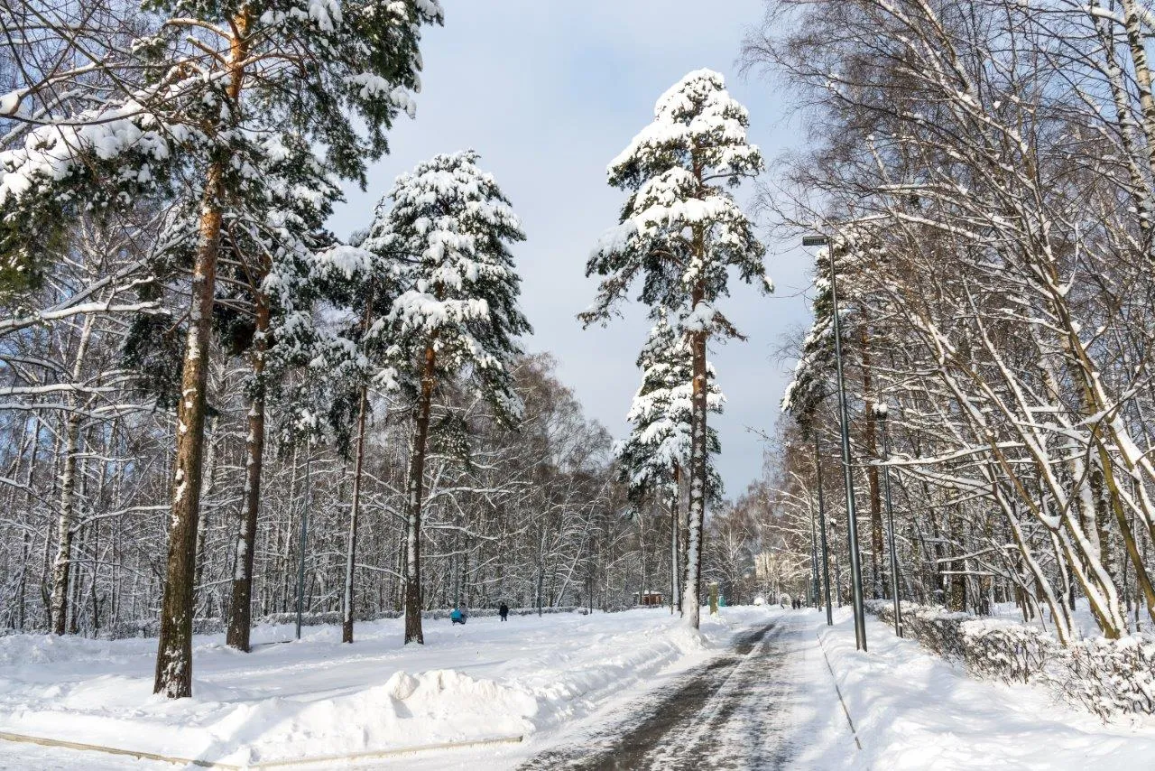 Туры в Россия (Москва, Подмосковье)