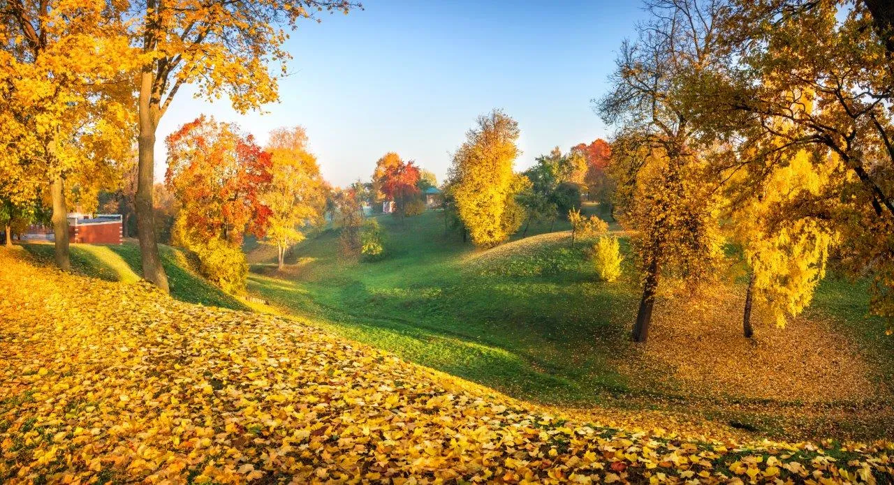 Туры в Россия (Москва, Подмосковье)