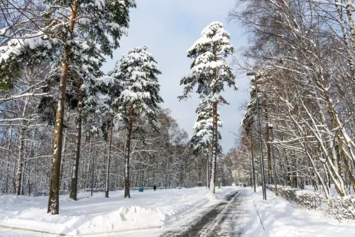 Туры в Россия (Москва, Подмосковье) - Возрождённая усадьба (Степановское-Волосово Куракиных – Шаховская) автобусная (14 часов) 22.11, 04.01, 08.01