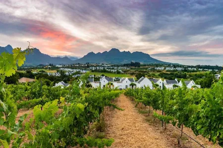 Туры в ЮАР - ПР29<br/>Кейптаун (4н) - Дорога Садов (3н). Заезды ежедневно на 8дн/7н, без а/б 