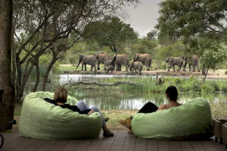 Туры в ЮАР - ПР26<br/>Великолепие ЮАР 2025: Кейптаун (4н) - сафари в парке Крюгера (2н) - Йоханнесбург (1н). Заезды ежедневно на 8дн/7н, без а/б