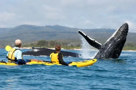 Туры в ЮАР - ПР28<br/>Великолепие ЮАР и Мозамбик. Кейптаун (4н) - сафари в парке Крюгера (2н) - пляжи Мозамбика (4н). Заезды ежедневно на 11дн/10н, без а/б 