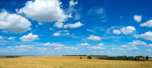 Туры в Россия (Москва, Подмосковье) - Хлеб, икра, павлиний хвост (Серпухов-Алексин) автобусная (13 часов) 14.02, 21.02, 22.02, 07.03, 08.03, 21.03 далее по графику