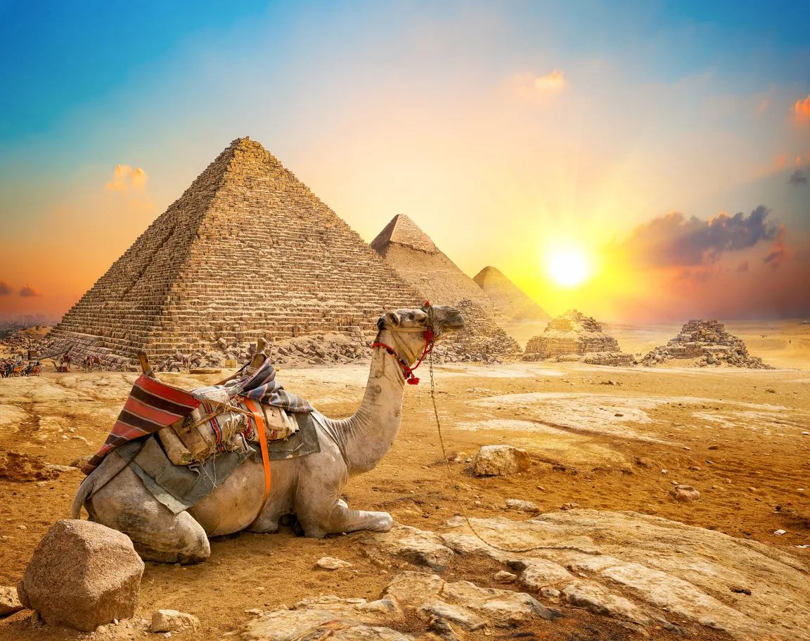 Каир вылеты. Египет пирамиды Верблюды. Шарм-Эль-Шейх пирамиды. Закат в Египте. Пустыня с верблюдами и пирамидой.