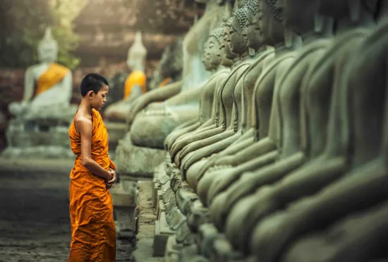 Туры в Индию - ПР76<br/>По стопам Будды. Октябрь 2025 - Апрель 2026. Заезды на 10 ночей, без а/б