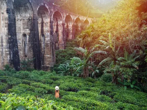 Туры в Шри-Ланку - ПР25<br/>Путешествие по Шри-Ланке. Заезды по воскресеньям на 8дн/7н, без а/б