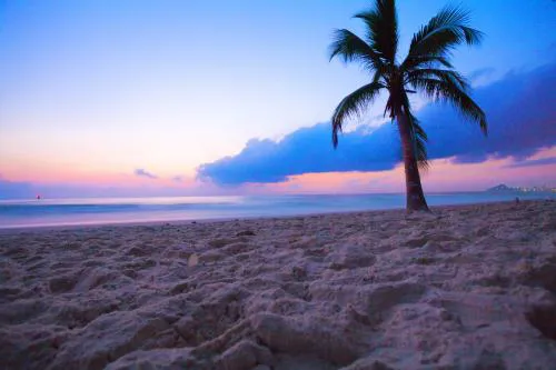 Туры в Таиланд - ПР8<br/>Две столицы. Бангкок-Чианг Май + отдых в Паттайе. Заезды с 01.07.25 по 01.04.26 ежедневно без а/б 