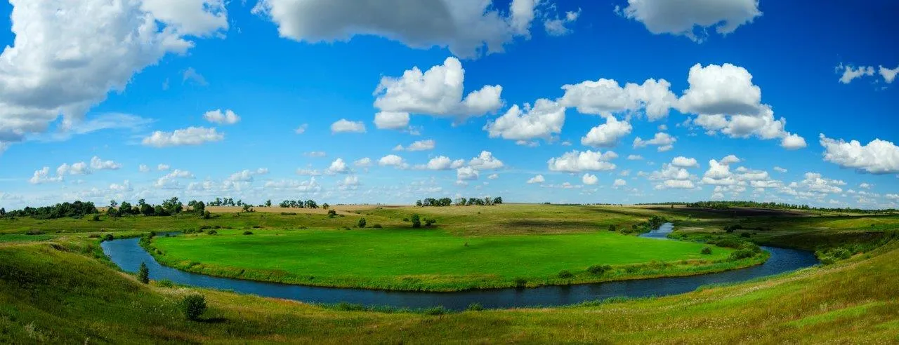 ib17459402523952.webp