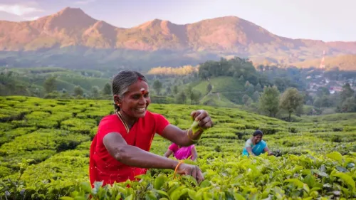 Туры в Индию - ПР5<br/>Золотой Треугольник и Варанаси. Март 2025 - Май 2026. Заезды по субботам на 8 ночей, без а/б
