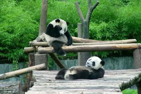 Туры в Китай - ПР38<br/>Чэнду - Тибет - Чэнду. Заезды ежедневно на 9дн/8н, без а/б