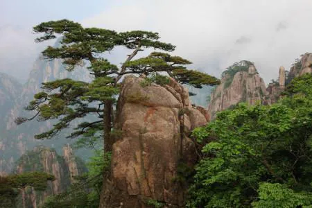 Туры в Китай - ПР64<br/>Побег из Шанхая и «небесные горы» Хуаншань. Заезды по воскресеньям на 8дн/7н, без а/б