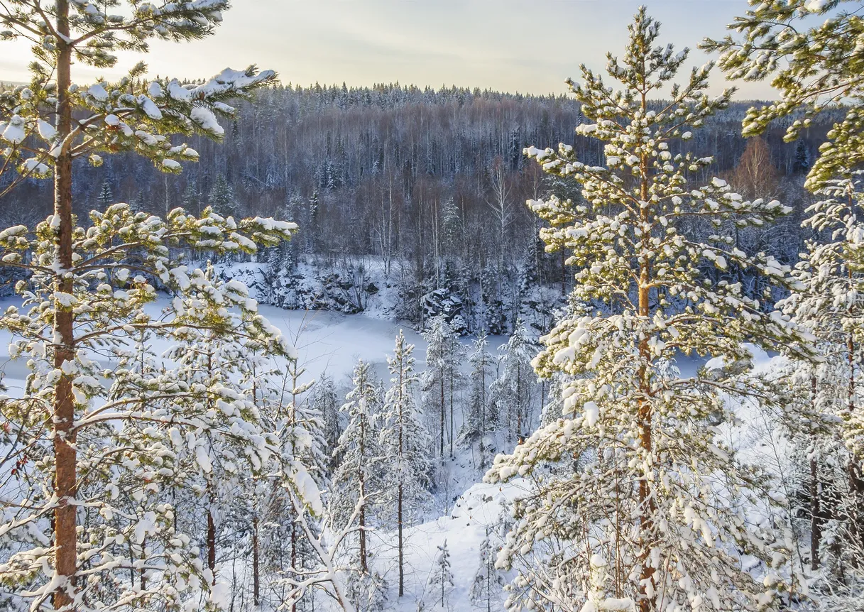 Туры в Россия (Карелия, Соловки)