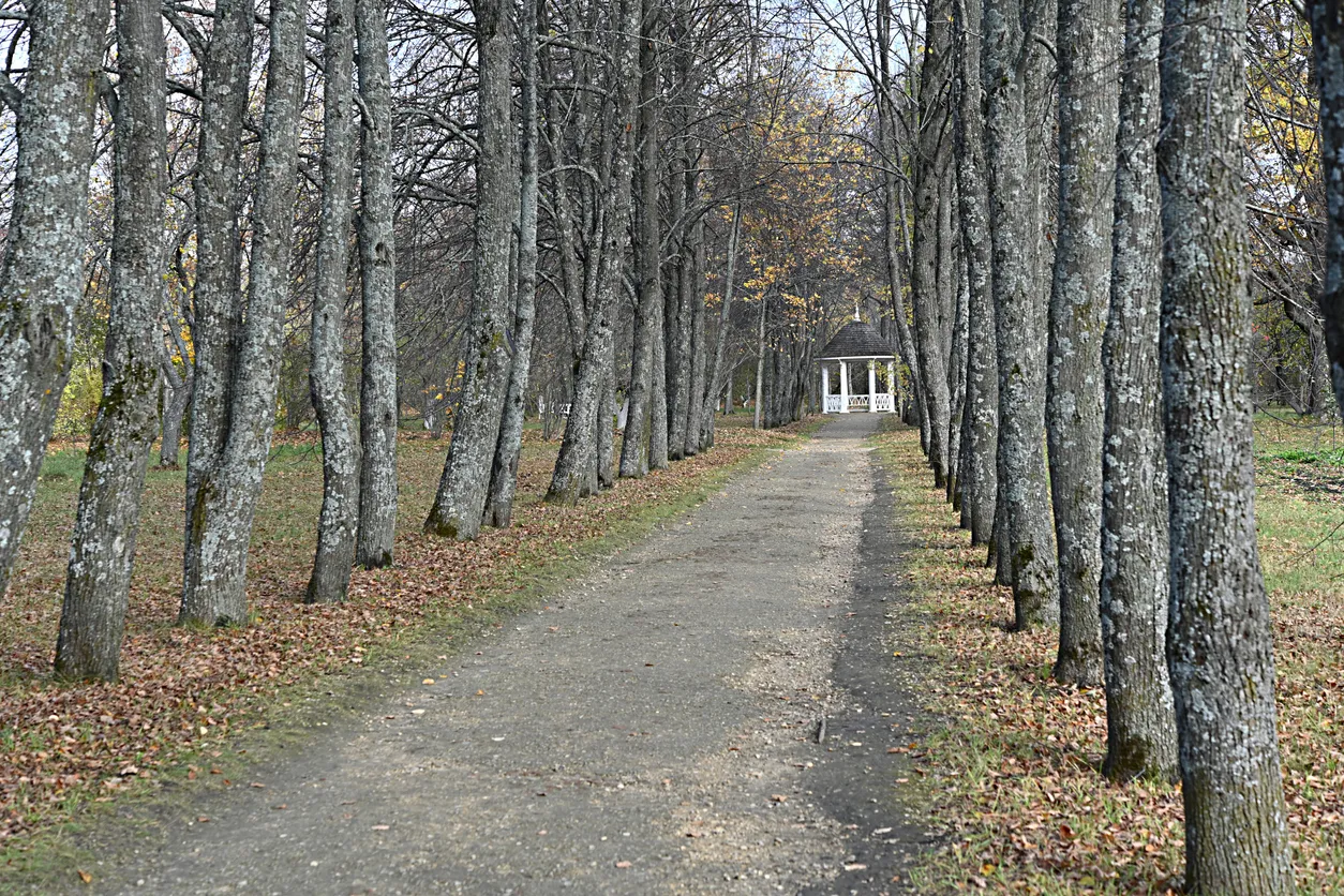 Туры в Россия (Мордовия. Саранск. Пенза)