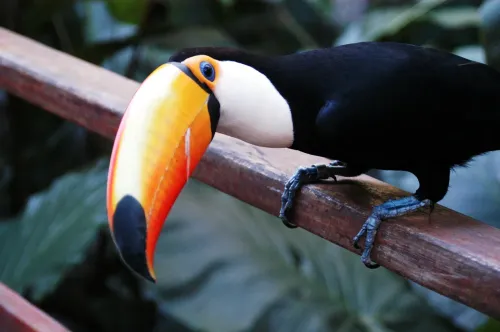 Туры в Аргентину - ПР22<br/>Аргентина-Бразилия: От льда к солнцу (Буэнос-Айрес–Калафате–Ушуайя–Водопады Игуассу–Рио де Жанейро) 2026. Заезды на 11 ночей, без а/б