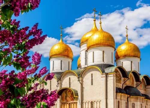 Туры в Россия (Москва, Подмосковье) - День в Донском Донской монастырь (пешеходная) 4,5 часа (23.11)