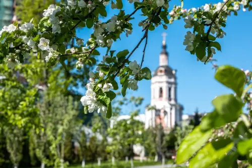 Туры в Россия (Москва, Подмосковье) - День в Донском (Донской монастырь) пешеходная (4,5 часа) 25.07, 09.08, 22.08