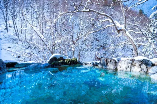 Туры в Японию - ПР11<br/>Японская зима и снежные обезьяны. 6 экскурсий. Заезды на 11дн/10н, без а/б 