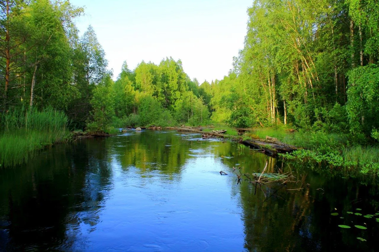 Туры в Россия (Татарстан (Казань, Елабуга))