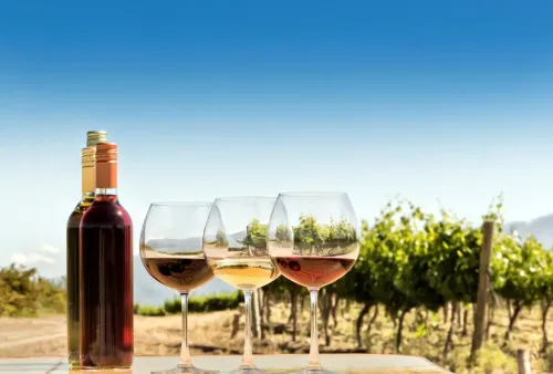 Туры в ЮАР - ПР4<br/>Великолепие ЮАР №1: Кейптаун (3н) - винные долины (2н) - парк Крюгер (2н). Заезды ежедневно на 8дн/7н, без а/б 