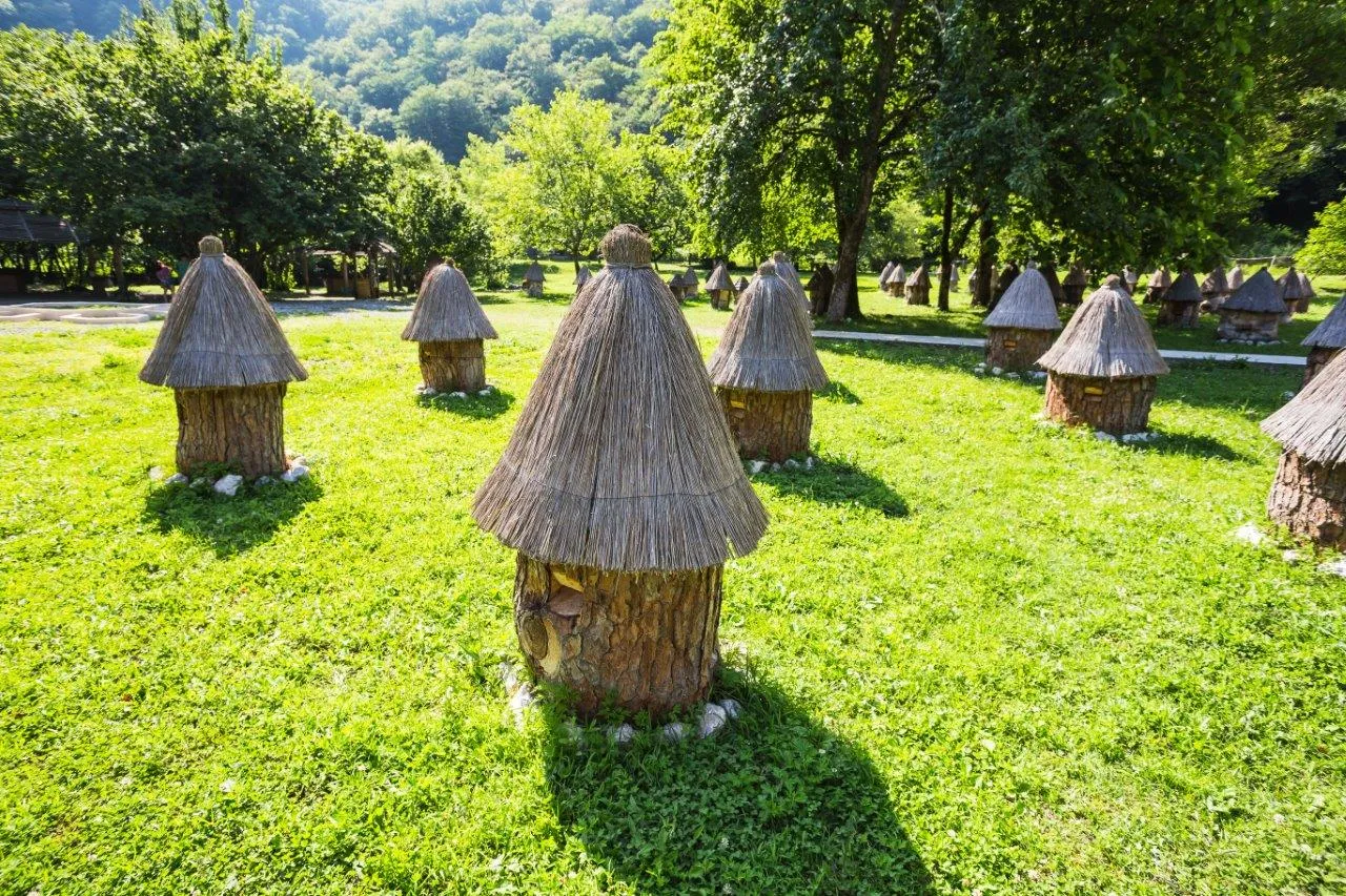 Туры в Абхазию