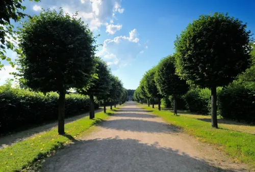 Туры в Россия (Москва, Подмосковье) - ПР38<br/>Русский сувенир. Федоскино-Жостово-Сергиев Посад-Абрамцево-Павловский Посад-Гжель. автобус (2д/1н) 02-03.05