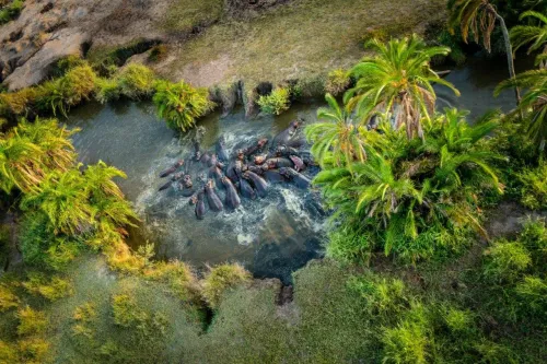 Туры в Танзанию (+ о.Занзибар) - ПР5<br/>Краски Африканского Сафари (4 ночи) - отдых на о. Занзибар (5-11н). Заезды ежедневно 20.04-30.12 с подг а/б 