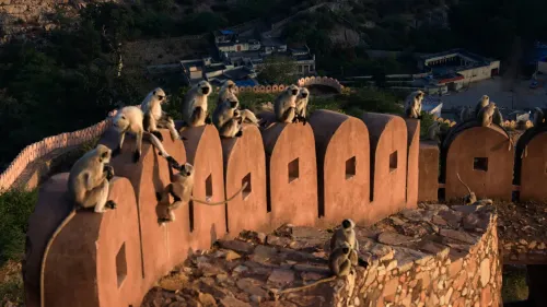 Туры в Индию - СП31<br/>Классическая Индия (авиа+наземный транспорт). Вылеты 30.12.2025 и 03.01.2026 на 9 ночей, без а/б