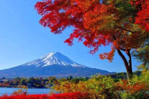 Туры в Японию - ПР26<br/>Классическая Япония (Токио/Токио) Токио–Фудзи-Кавагучико-Киото. Заезды на 8дн/7н, без а/б 